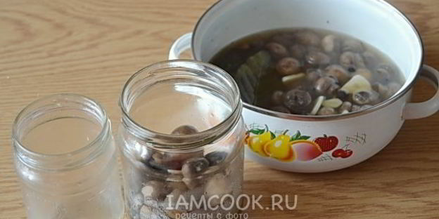 маринад для грибов