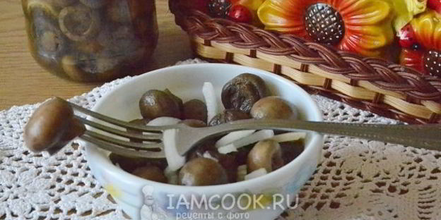 маринад для грибов