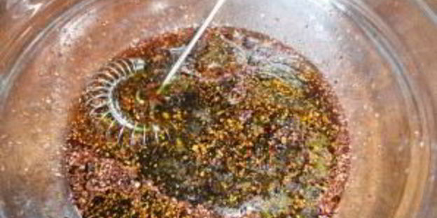 маринад для грудинки