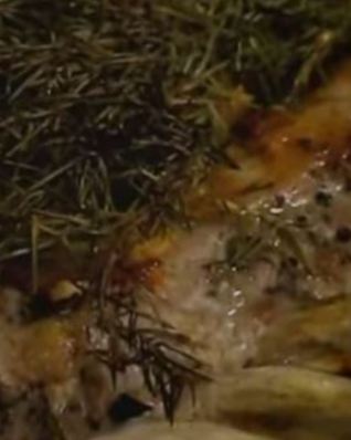 Таежный маринад