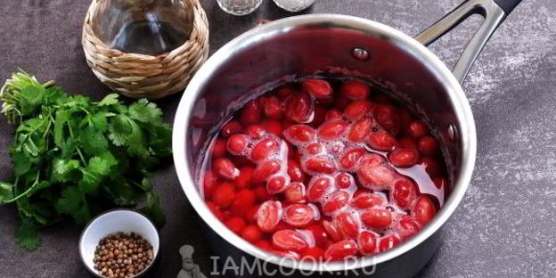 соус из кизила