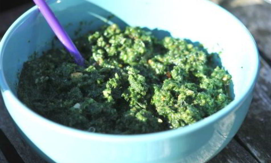 Рецепт крапивного песто