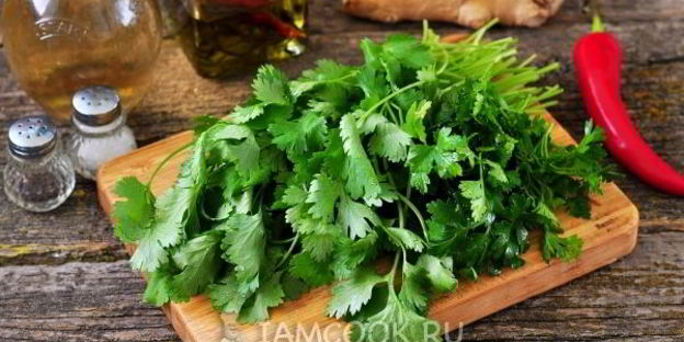 песто из кинзы