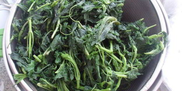 песто с крапивой