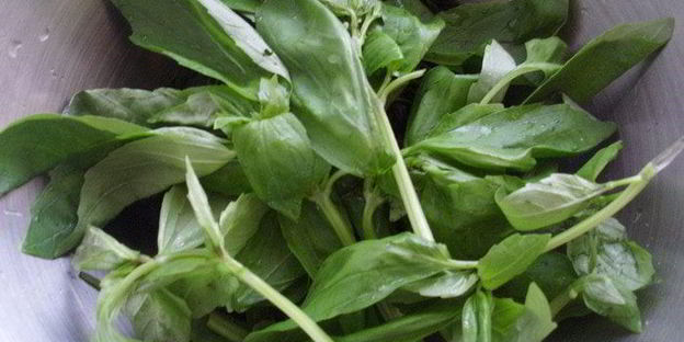 песто с крапивой