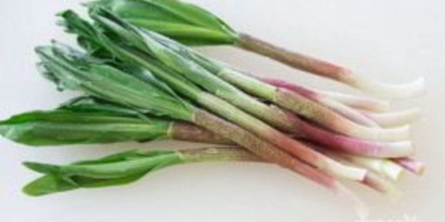 соус песто из черемши