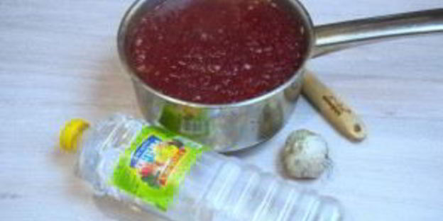 соус ткемали с синей сливой