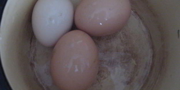 борщ холодный с креветками