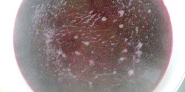 борщ красный холодный