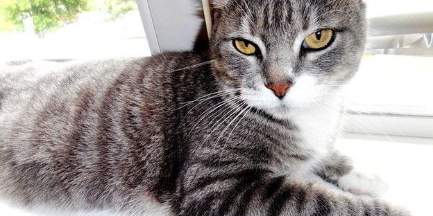 норвежский борщ с килькой