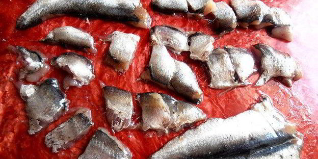 норвежский борщ с килькой