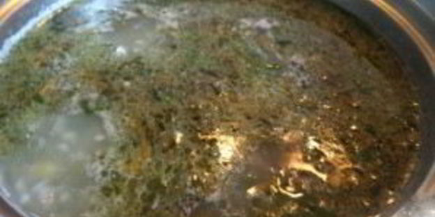 зеленый борщ без мяса