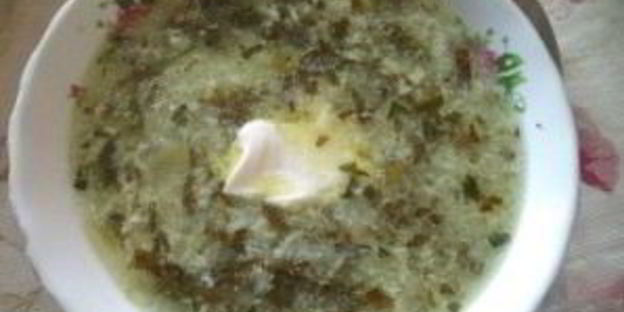 зеленый борщ без мяса