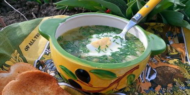 зеленый борщ на новый лад