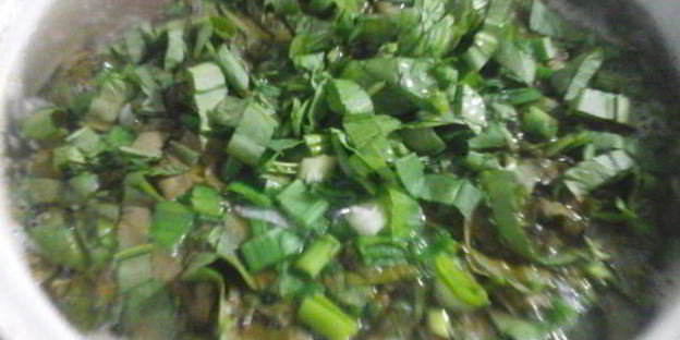 зеленый борщ по-деревенски