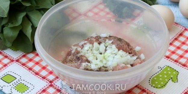 зеленый борщ с фрикадельками и со щавелем