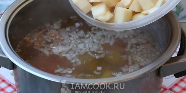 зеленый борщ с фрикадельками и со щавелем