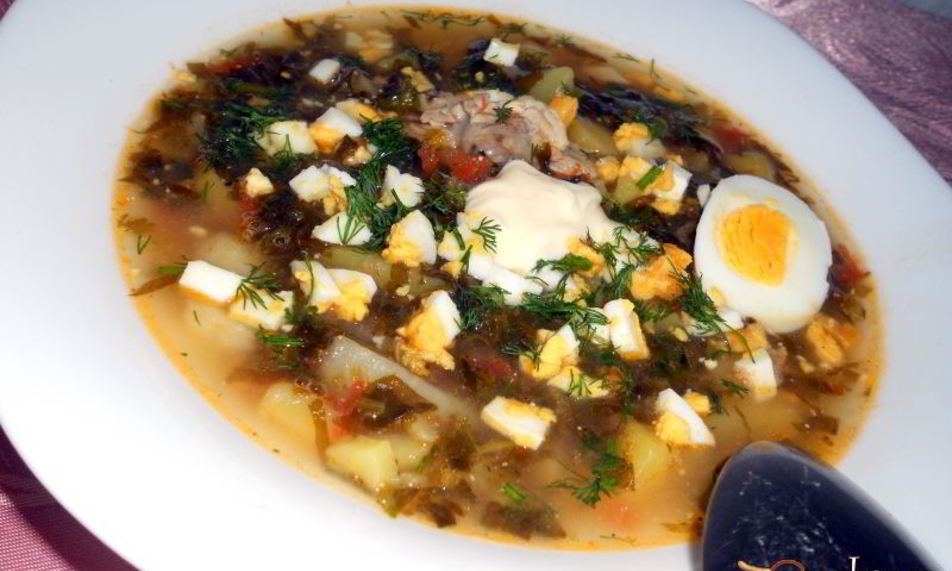 Рецепт зеленого борща с курицей и томатом