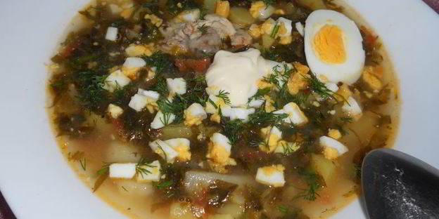 зеленый борщ с курицей и томатом