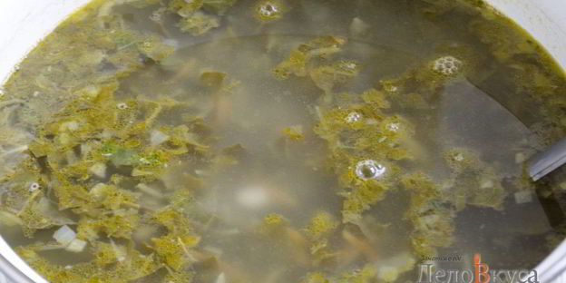 зеленый борщ со щавелем и крапивой