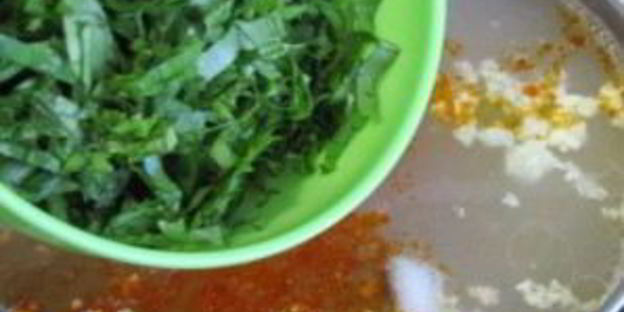 зеленый борщ со щавелем