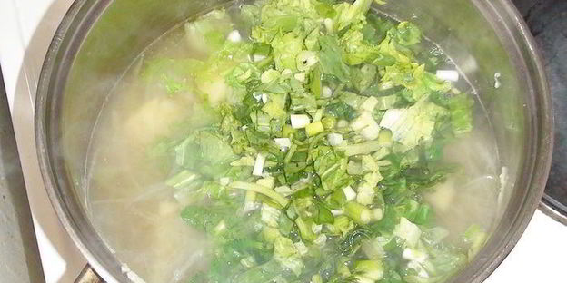 зеленый борщ