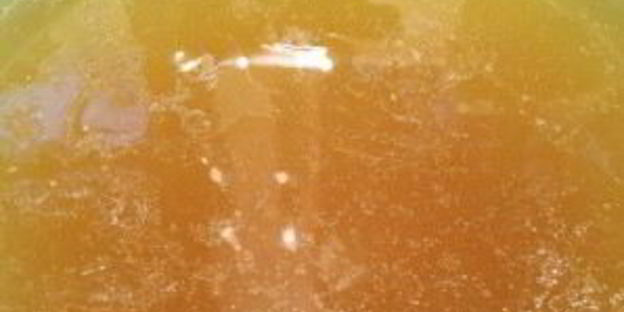 бульон из куриных лапок