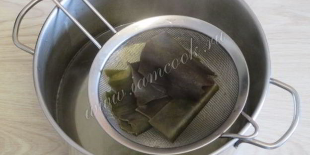 даши бульон