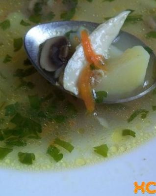 Грибной суп на курином бульоне