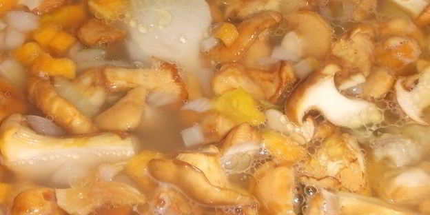 лисички с курицей в бульоне