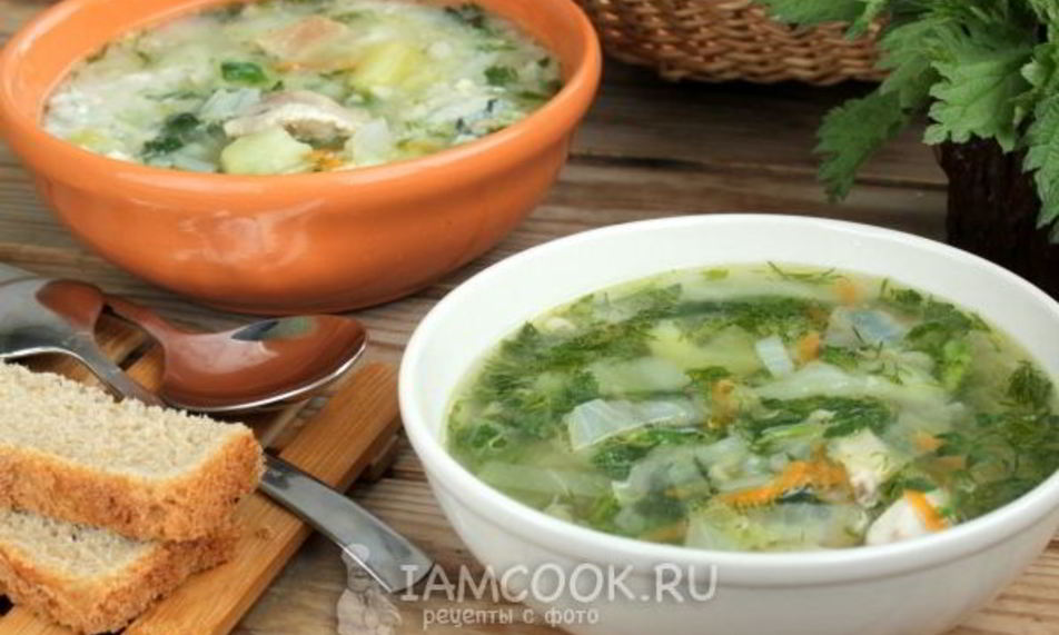 Рецепт супа с крапивой на курином бульоне