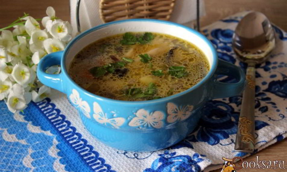 Рецепт супа с шампиньонами и фарфалле на курином бульоне