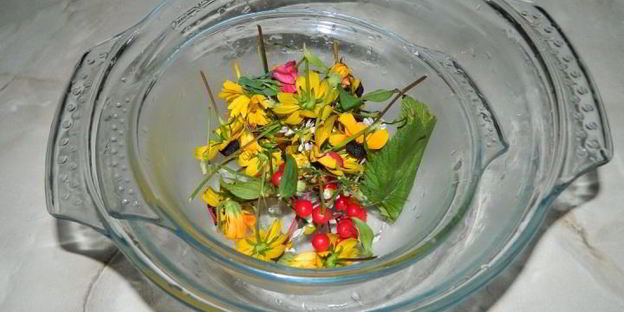 арбузный гаспачо в ледяной тарелке