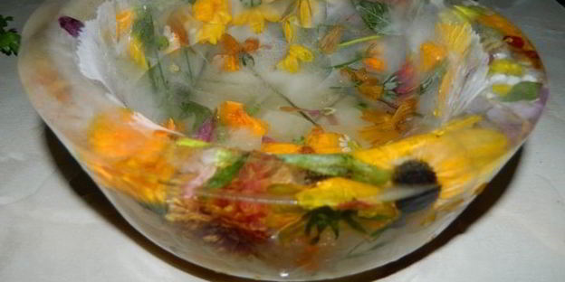 арбузный гаспачо в ледяной тарелке