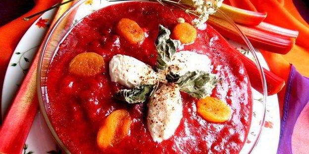 гаспачо из ревеня и вишни