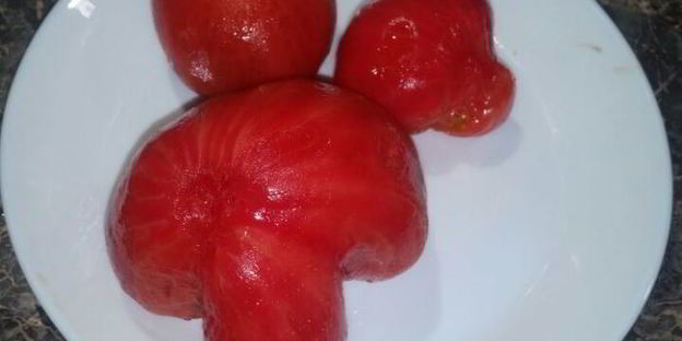 гаспачо с фундуком