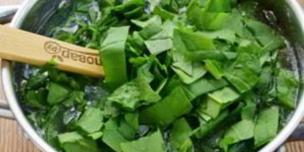 суп из шпината и бараньего гороха