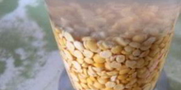 суп с горохом и копченой колбасой