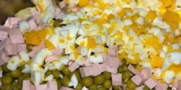 холодник классический