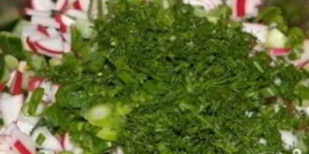 холодник классический