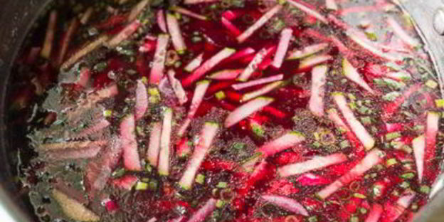 холодник на бульоне