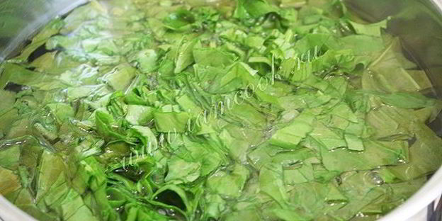 холодник со щавелем