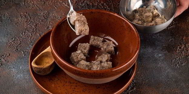 холодник тверской