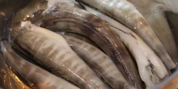 холодный рыбный суп