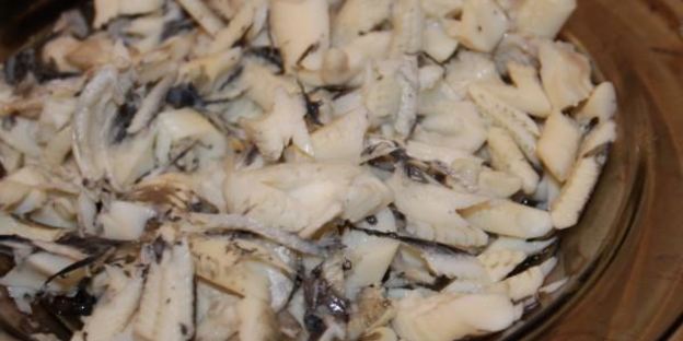 холодный рыбный суп