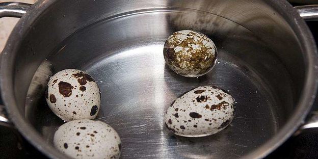 холодный суп ботвинья