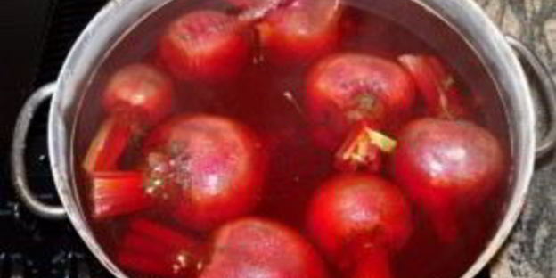 красный холодник