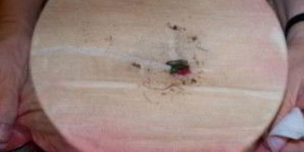 красный холодник