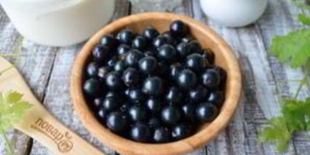 сладкий холодник