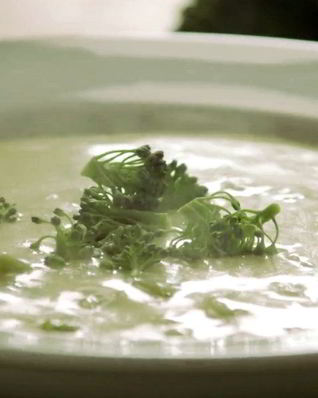 Крем-суп из брокколи с сыром